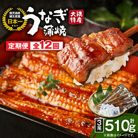 【ふるさと納税】【定期便12回】大隅特産うなぎ蒲焼3尾（510g）×12回 合計36尾 計6.12kg 【国産】たれ付 真空パック 湯煎 レンジ 簡単調理 国産 国産うなぎ 定期 うなぎ蒲焼 小分け 定期便 鹿児島県 鹿屋市 コンシェルジュ【寺園商店】