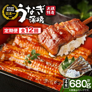 yӂ邳Ɣ[Łzy12zYȂ4i680gj×12 v48 v8.16kg yYzt ^pbN  W ȒP Y YȂ  Ȃ   