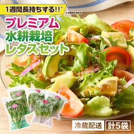 【ふるさと納税】 洗わずに食べられる プレミアム 水耕栽培 レタス 5袋 ヘルシーリーフ リーフレタス フリフリリーフ フリルアイス 野菜 サラダ 農薬不使用 無農薬 旭信興産アグリーン事業部 鹿児島 鹿屋市 おすすめ ランキング プレゼント ギフト