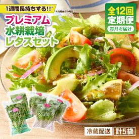 【ふるさと納税】【定期便 全12回】 農薬不使用 洗わずに食べられる プレミアム 水耕栽培 レタス 5袋を1年分 計60袋 ヘルシーリーフ リーフレタス フリフリリーフ フリル 野菜 サラダ 無農薬 旭信興産アグリーン事業部 鹿児島 鹿屋市 おすすめ ランキング プレゼント ギフト