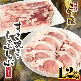 【ふるさと納税】＜配送時期が選べる＞鹿屋産 さかし豚 セット 選べる 全3種 肉 豚肉 ロース バラ スライス ヒレ スペアリブ すき焼き しゃぶしゃぶ 鍋 とんかつ 小分け 真空パック 国産 鹿児島県産 冷凍 東別府養豚 鹿児島 鹿屋市 おすすめ ランキング プレゼント ギフト