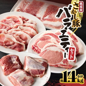 【ふるさと納税】＜配送時期が選べる＞ 鹿屋産 豚肉 バラエティー セット 1.4kg 豚 肉 ロース バラ スライス 小分け 真空パック 鍋 しゃぶしゃぶ ぶたすき とんかつ カツ ヒレカツ 焼肉 炒め物 国産 鹿児島県産 鹿児島 鹿屋市 おすすめ ランキング プレゼント ギフト