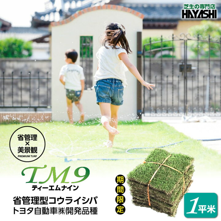 楽天市場】【ふるさと納税】＜選べる＞ TM9 ティーエムナイン 省管理型 