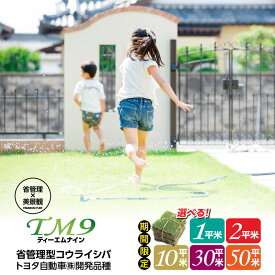【ふるさと納税】【期間限定】＜選べる＞ TM9 ティーエムナイン 省管理型コウライシバ トヨタ自動車(株) 開発品種 1平米 〜 50平米 芝生 芝 天然 庭 高品質 期間限定 限定 お手入れ ガーデニング DIY ハヤシ 鹿児島 鹿屋市 おすすめ ランキング プレゼント ギフト