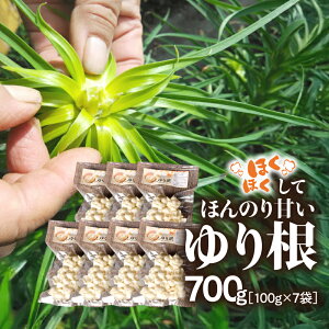 yӂ邳Ɣ[ŁzIׂeʁ ققĂق̂Â 荪 200g ` 700g 荪  ₳  q ݂ T_ VՂ h{Lx Ⓚۑ\ قق ܂ Hp 