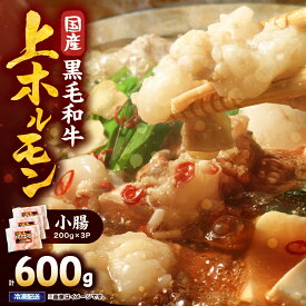 【ふるさと納税】 【選べる】 国産黒毛和牛上ホルモン(小腸)　600g〜2kg 国産 鹿児島県産 牛 牛肉 ホルモン もつ鍋 焼肉 串焼き 冷凍 真空 小分け 選べる【カミチク】