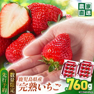 yӂ邳Ɣ[Łzy\t ʌzIׂeʁ Y  ÐF 8`24 × 1 or 2 ق̂ ݂̂  n t[c ʕ ʎ  s\ fU[g _ƒ Strawbe