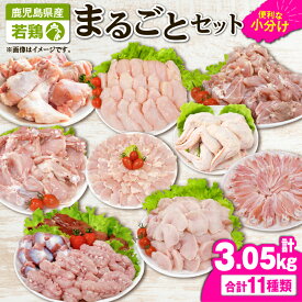 【ふるさと納税】若鶏まるごと3.05kgセット[モモ切身・ムネ切身・筋なしささみ・手羽元・チキンリブ・手羽先・砂肝・肝・肩肉・小肉・骨付モモ]国産 鹿児島県産 鶏肉 鶏 鳥肉 鶏もも 鶏むね 鶏ささみ 【株式会社 TRINITY】