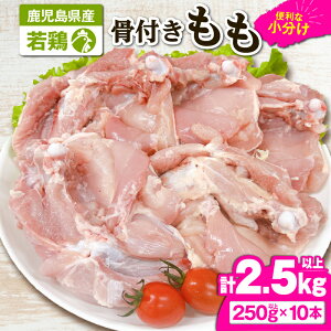 yӂ邳Ɣ[Łz{t10{[2.5kgȏi250gȏ×10{j]Y Y { { {  g Xe[L Zbg  ^ Ⓚ Ⓚۑy TRINITYz