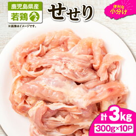 【ふるさと納税】 鹿児島県産 若鶏 せせり 小肉 3kg セット 鶏肉 鶏 とり 肉 お肉 冷凍 鶏せせり 小分け ストック カット済み 時短 炭火焼 焼肉 便利 真空パック 新鮮 TRINITY 鹿児島 鹿屋市 おすすめ ランキング プレゼント ギフト