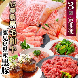 【ふるさと納税】定期便3回配送　黒毛和牛・黒豚&タカエビ　 DD5-0001【配送不可地域：離島】【1573840】