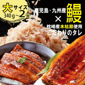 【ふるさと納税】大サイズ　国産うなぎ蒲焼　2尾(約340g～約380g)A8-103【配送不可地域：離島】【1585812】