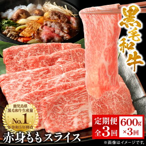 yӂ邳Ɣ[ŁzyցzY јa ԐgXCX 600g(s)RR-0002 S3_    јa  XCX lC    Mtg X^[[ 