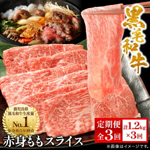 yӂ邳Ɣ[ŁzyցzY јa ԐgXCX 1.2kg(s) FF0-0003 S3_    јa  XCX lC    Mtg X^[[ 
