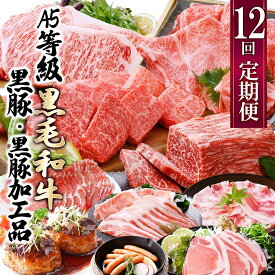 【ふるさと納税】お肉の定期便(12回)枕崎お楽しみ便(A5等級黒毛和牛・黒豚・黒豚加工品etc) KK-6003_ 肉 定期便 黒毛和牛 黒豚 加工品 ステーキ ソーセージ ハム 12回 ハンバーグ 鹿児島県 枕崎市 人気 おすすめ 送料無料 贈答 ギフト 【配送不可地域：離島】【1166746】