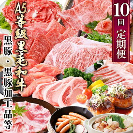 【ふるさと納税】定期便(1年で10回配送)お楽しみ便(A5等級黒毛和牛・鹿籠豚(黒豚)・かご豚加工品等HH-6004_ 肉 牛肉 サーロイン ステーキ 焼肉 ハンバーグ 切り落とし 豚肉 ロース バラ もつ鍋 【配送不可地域：離島】【1166752】