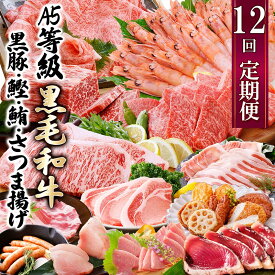【ふるさと納税】定期便(12回配送)お楽しみ便(A5等級黒毛和牛・黒豚・かつお・まぐろ・さつまあげ等)JJ-6002_ 肉 お肉 牛肉 サーロイン ステーキ 焼肉 ハンバーグ 切り落とし 豚肉 ロース バラ しゃぶしゃぶ 餃子 鰹【配送不可地域：離島】【1166755】