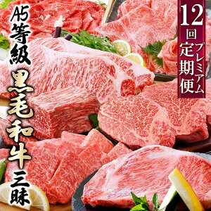 yӂ邳Ɣ[Łz(12)YA5јaO JJ-0017_    ~ Vg[uA Ԑg ubN ؂藎Ƃ T[C Xe[L ē Ă ₫ Ԃ