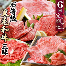 【ふるさと納税】定期便(6回配送)A5等級鹿児島県産黒毛和牛三昧 II-0016_ 肉 お肉 牛肉 ロース サーロイン ステーキ すき焼き すきやき しゃぶしゃぶ 焼肉 切り落とし 人気 送料無料 【配送不可地域：離島】【1166763】