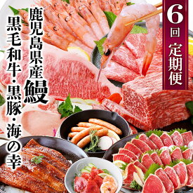 【ふるさと納税】定期便(6回配送)　鹿児島県産うなぎ・黒毛和牛・黒豚・海の幸　HH5-0001【配送不可地域：離島】【1584184】