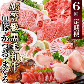 【ふるさと納税】定期便(6回)A5等級黒毛和牛・黒豚・かつお・まぐろ FF-0058_ 肉 お肉 牛肉 サーロイン ステーキ 焼肉 ハンバーグ 切り落とし 豚肉 ロース バラ しゃぶしゃぶ 生ハム 鮪 鰹 カツオ【配送不可地域：離島】【1166770】