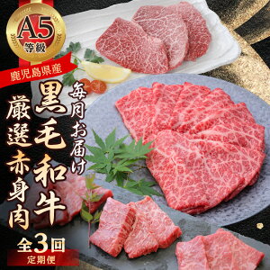 �y�ӂ邳�Ɣ[�Łz�y��������ցz���јa�����I�Ԑg�������(����s) RR-0003 �S3��_ �� ���� ���јa�� �Ԑg ����� �������� ���� �X�e�[�L �ē� A5 �Ⓚ �l�C �������� �������� �y�z���s�n��