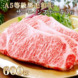 yӂ邳Ɣ[ŁzYA5јaT[CXe[L3(600g) C0-17_ T[CXe[L T[C Xe[L   a јa A5 ~ 3 600g Ⓚ Y  j 