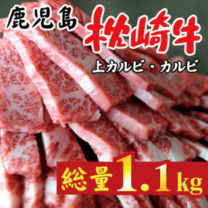 yӂ邳Ɣ[Łz 苍 Jr+Jr v 1.1kg ē a C7-10yzsnFzy1166692z