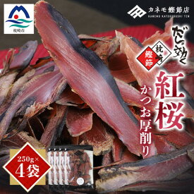 【ふるさと納税】【業務用】本場 枕崎産 かつお厚削り「紅桜」【合計1Kg】無添加 老舗鰹節店かつおぶし A6-42_ 鰹節 粗削り 削り節 パック 鰹 カツオ 出汁 だし 人気 送料無料 【配送不可地域：離島】【1167009】
