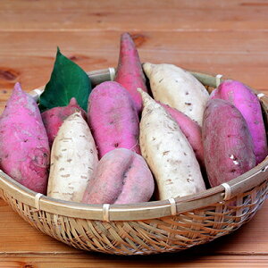 yӂ邳Ɣ[Łz܂ 5i Hה 6kg @2025N10{蔭A3-54yzsnFzy1167097z