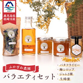 【ふるさと納税】日本ミツバチの生蜂蜜・梅シロップ・ジャム2種・バタフライピー　バラエティセット A8-5【1450144】