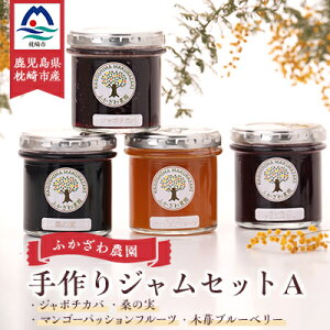 yӂ邳Ɣ[ŁzWZbgA@A6-19yzsnFzy1450646z