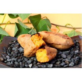 【ふるさと納税】本場鹿児島さつまいも【くりこがね】4kg　2025年10月上旬より発送Z0-16【配送不可地域：離島】【1487873】