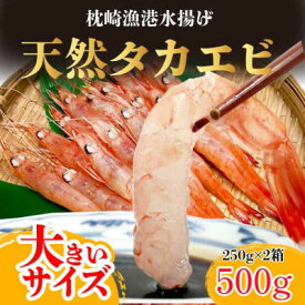 【ふるさと納税】【薩摩の甘エビ】天然タカエビ500g　A1-10_ 甘エビ 海老 あまえび 天然 海鮮 甘海老【配送不可地域：離島】【1524580】