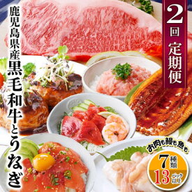 【ふるさと納税】定期便2回配送　鹿児島県産黒毛和牛・うなぎ　CC0-0001_ うなぎ ウナギ 鰻 国産 鹿児島県 枕崎 定期便 かつお マグロ ネギトロ セット 食べ比べ サーロインステーキ ハンバーグ 丼 ホルモン 黒豚 人気 産地直送 【配送不可地域：離島】【1542064】
