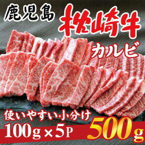yӂ邳Ɣ[Łz 苍 yJr 500gz ē Ya  5P@B0-4yzsnFzy1562433z