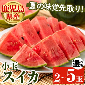 �y�ӂ邳�Ɣ[�Łz����s�\���t���I2026�N5�����{�ȍ~���������\�聄�����e�ʂ��I�ׂ�I�����������Y ���ʃX�C�J(2�`5��) ���Y �ʕ� �X�C�J ������ ���Z �t���[�c �X�C�[�c �X���[�W�[ �W��