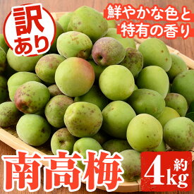 【ふるさと納税】＜先行予約受付中！2026年5月下旬以降順次発送予定＞訳あり！鹿児島県産 南高梅(約4kg) 国産 果物 梅 うめ ウメ ナンコウウメ 和食 梅干し 梅酒 梅シロップ 訳アリ サイズ混合 期間限定【松永青果】akn053-09