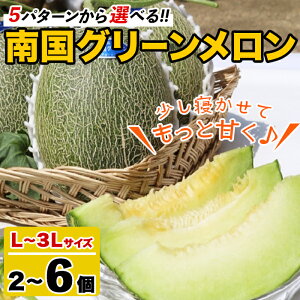 �y�ӂ邳�Ɣ[�Łz�_���]����4.9�l���I�^����s�\���t���I2026�N6���ȍ~���������\�聄�����e�ʂ��I�ׂ�I�����������Y�I�썑�O���[��������(L�`3L�T�C�Y�E2�`6��) ������ �߂�� �ʕ� �X�C