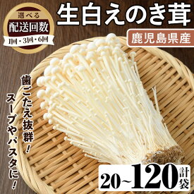 【ふるさと納税】＜配送回数が選べる！＞生白えのき茸(計20～120袋) 国産 鹿児島県産 阿久根市産 エノキ きのこ キノコ 個包装 パスタ スープ 小分け 冷蔵【三笠えのき茸生産組合】