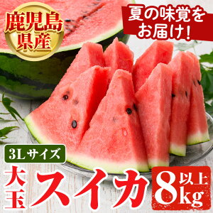 �y�ӂ邳�Ɣ[�Łz����s�\���t���I2026�N6�����{�ȍ~���������\�聄���������Y ��ʃX�C�J(3L�T�C�Y�E1��) ���Y �ʕ� �X�C�J ������ ���Z �t���[�c �X�C�[�c �X���[�W�[ �W���[�X�y���i��