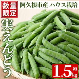 【ふるさと納税】＜先行予約受付中！2027年1月上旬以降順次発送予定＞期間限定！実えんどう (約1.5kg) 国産 鹿児島県産 ハウス栽培 野菜 旬 豆 マメ まめ エンドウ 豆ごはん ポタージュ 期間限定 数量限定 季節限定 【東新グリーンファーム合同会社】akn062-13