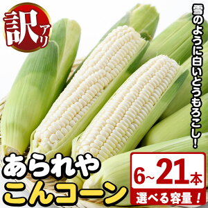 yӂ邳Ɣ[Łzs\tI2025N10{ȍ~\聄eʂIׂI󂠂IƂ낱u₱R[v(6`21{) Y gERV 冋o zCg R