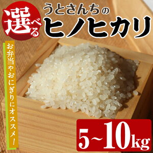 yӂ邳Ɣ[ŁzeʂIׂI qmqJ (5`10kg) Y   R  Ђ̂Ђ ͂  ٓ ɂyƂ񂿁z