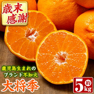 �y�ӂ邳�Ɣ[�Łz�_���]����4.62�l���I�^����s�\���t���I2026�N1���ȍ~���������\�聄���ʌ���I�������Ő��܂ꂽ�I���W�i���i��u�叫�G�v(��5kg�E15�`24��) �ʕ� �t���[�c ���k �ʎ� �n