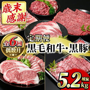 �y�ӂ邳�Ɣ[�Łz�_���]����4.67�l���I�^������ցE�S6��(������)�����������Y���јa���E���ؒ����(���ʖ�5.2kg)���Y ��B�Y �������Y ���� ���Y�� �ؓ� �Z�b�g �T�[���C�� �X�e�[�L �؂藎