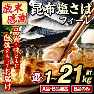 �y�ӂ邳�Ɣ[�Łz�_���]����4.73�l���I�^�����e�ʁE�񐔂��I�ׂ�I���󂠂�I���z�����΃t�B�[��(A�iB�i����orB�i�̂݁E�v1�`21kg) ��e�� �{�����[�� �T�o �I ������ ���܂� �y�� �Ă��� ��