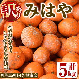 yӂ邳Ɣ[Łzs\tI2025N12ȍ~\聄ʌE󂠂聄݂͂(5kg) Y  vs ʎ ʕ t[c k fU[g _ Öy˖승k