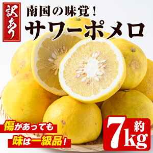 yӂ邳Ɣ[Łzs\tI2026N2{ȍ~\聄󂠂E聄ʌIT[|(7kg) Y t[c ʕ k T[| Ö _ fU[g  