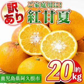 【ふるさと納税】＜先行予約受付中！2026年3月上旬以降順次発送予定＞訳あり！鹿児島県産まかない紅甘夏(約20kg) 国産 鹿児島産 柑橘 訳アリ 果物 フルーツ 旬 常温保存 紅甘夏 ベニアマナツ 数量限定 期間限定 規格外 デザート 阿久根市産【三笠農業生産】akn051-05